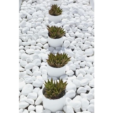 PearlHaus Beyaz Dolomit Taşı 10 kg 2-4 cm Bahçe Taşı Dekoratif Taş Dere Taşı Dolomite Doğal Taş