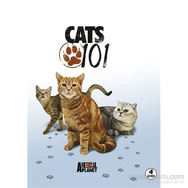 Cats 101