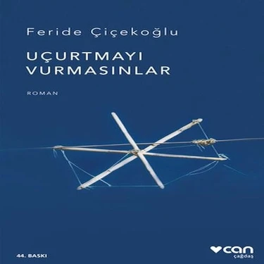 SHC4200 Uçurtmayı