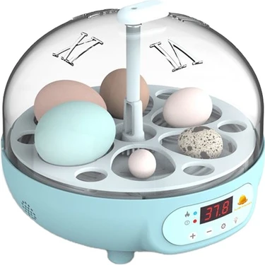 Altın Kuluçka 6 Lı Mini ve Ev Tipi Kuluçka