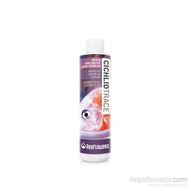 Reeflowers   Cichlid Trace 250