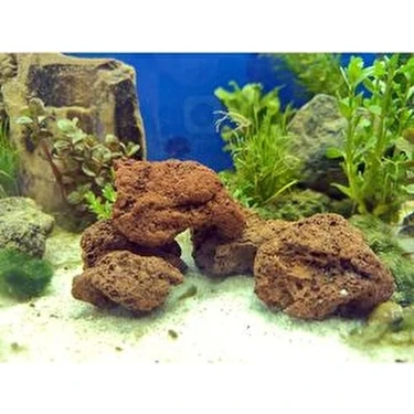 Turuncu Lav Kayası 4 Adet 5-7 cm - Akvaryum Dekor Kayası - Taşı Karışık